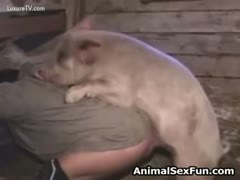 I am enjoying zoophilia with my pig.